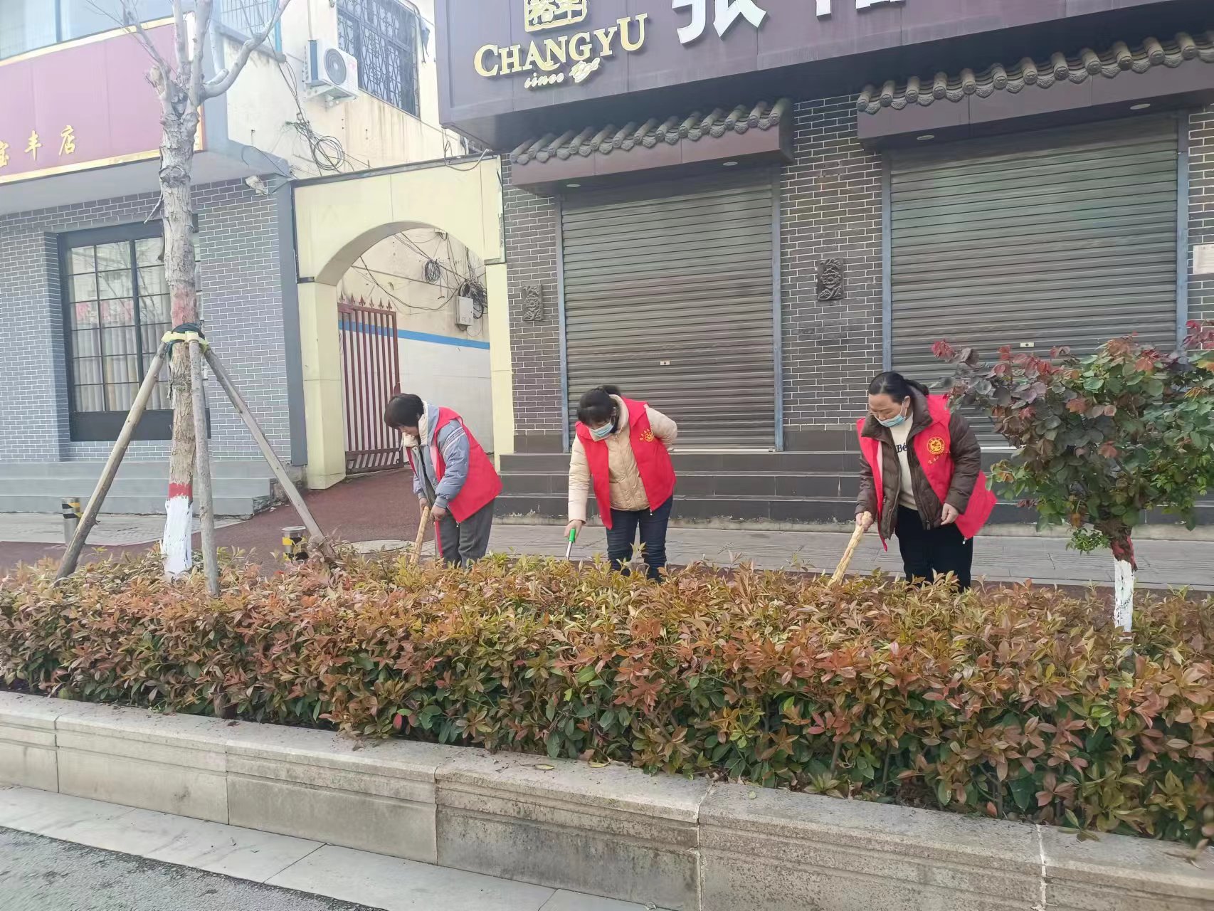 志愿2.jpg